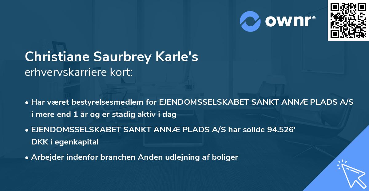 Christiane Saurbrey Karle's erhvervskarriere kort