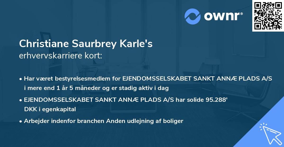 Christiane Saurbrey Karle's erhvervskarriere kort