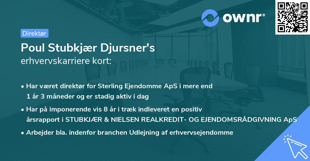 Poul Stubkjær Djursner's erhvervskarriere kort