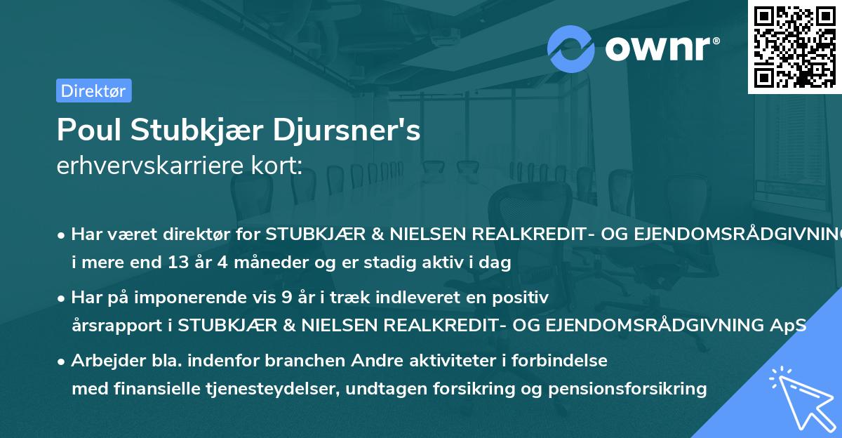Poul Stubkjær Djursner's erhvervskarriere kort
