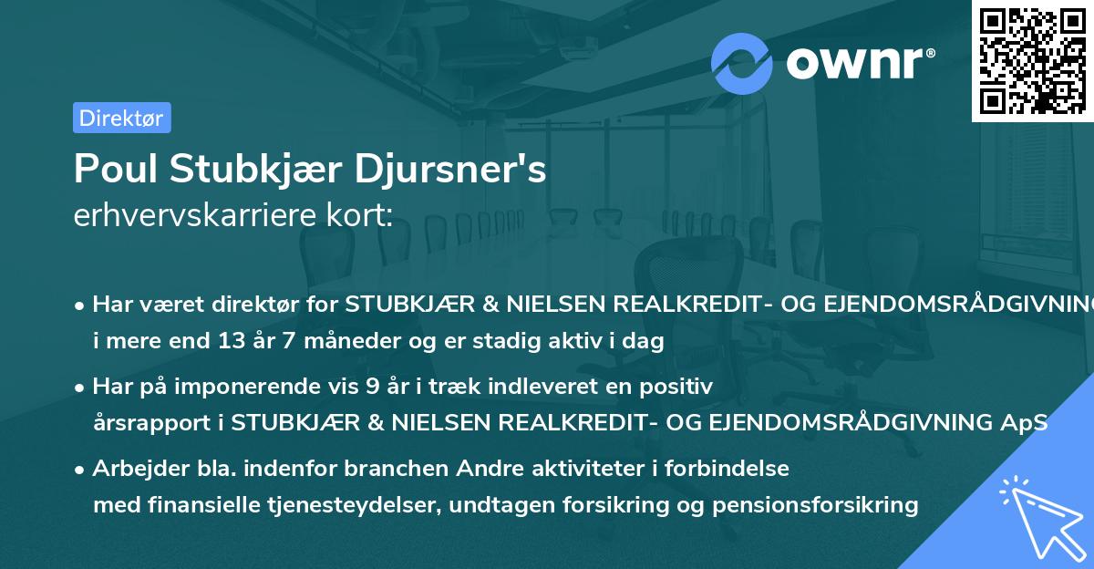 Poul Stubkjær Djursner's erhvervskarriere kort