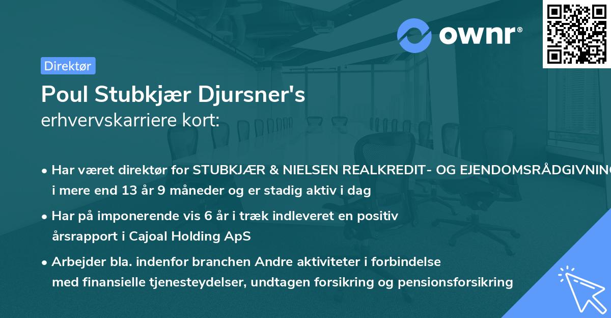 Poul Stubkjær Djursner's erhvervskarriere kort