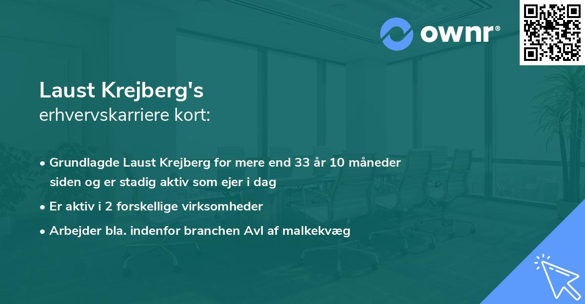 Laust Krejberg's erhvervskarriere kort