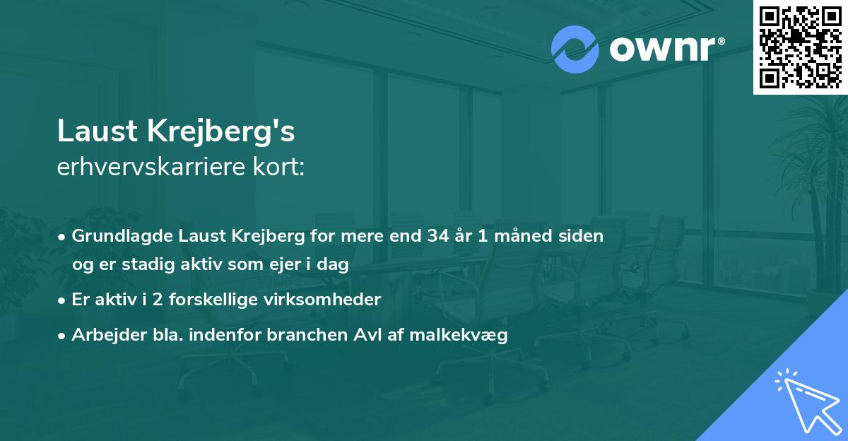 Laust Krejberg's erhvervskarriere kort