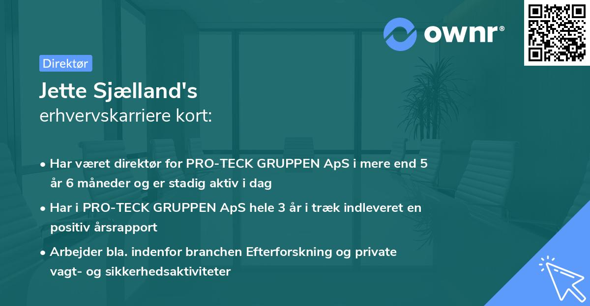 Jette Sjælland's erhvervskarriere kort