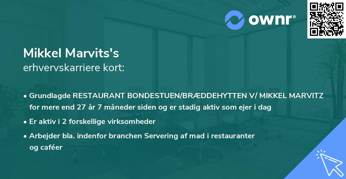 Mikkel Marvits's erhvervskarriere kort
