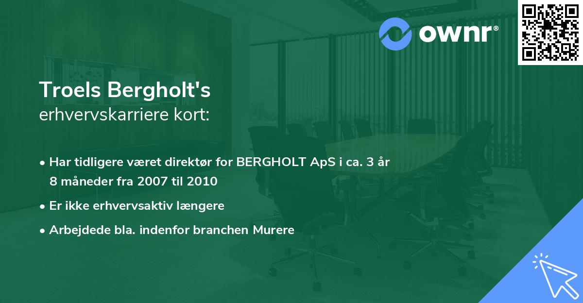 Troels Bergholt's erhvervskarriere kort