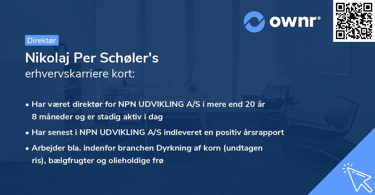 Nikolaj Per Schøler's erhvervskarriere kort