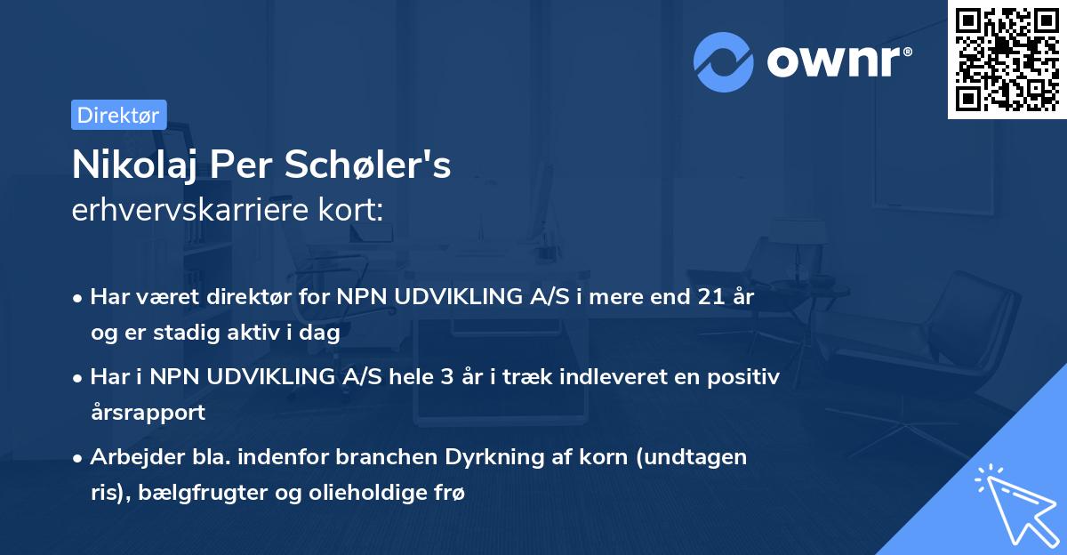 Nikolaj Per Schøler's erhvervskarriere kort