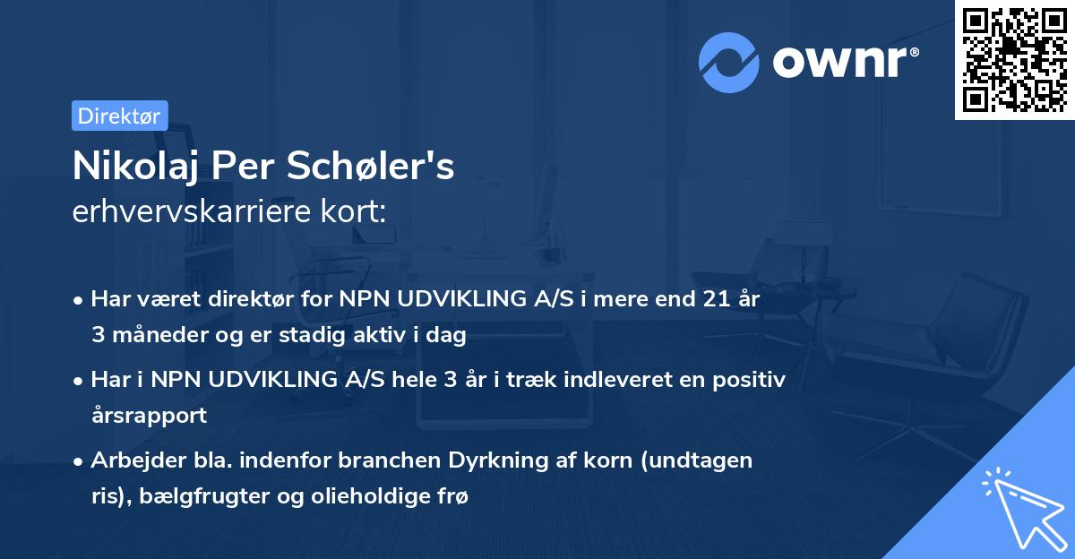Nikolaj Per Schøler's erhvervskarriere kort