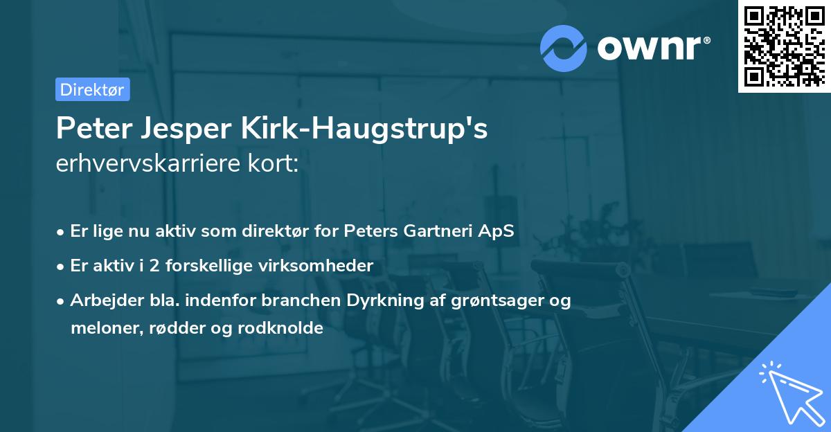 Peter Jesper Kirk-Haugstrup's erhvervskarriere kort