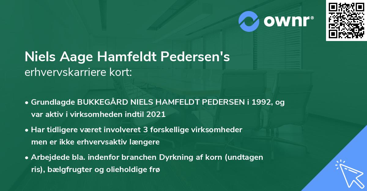 Niels Aage Hamfeldt Pedersen's erhvervskarriere kort