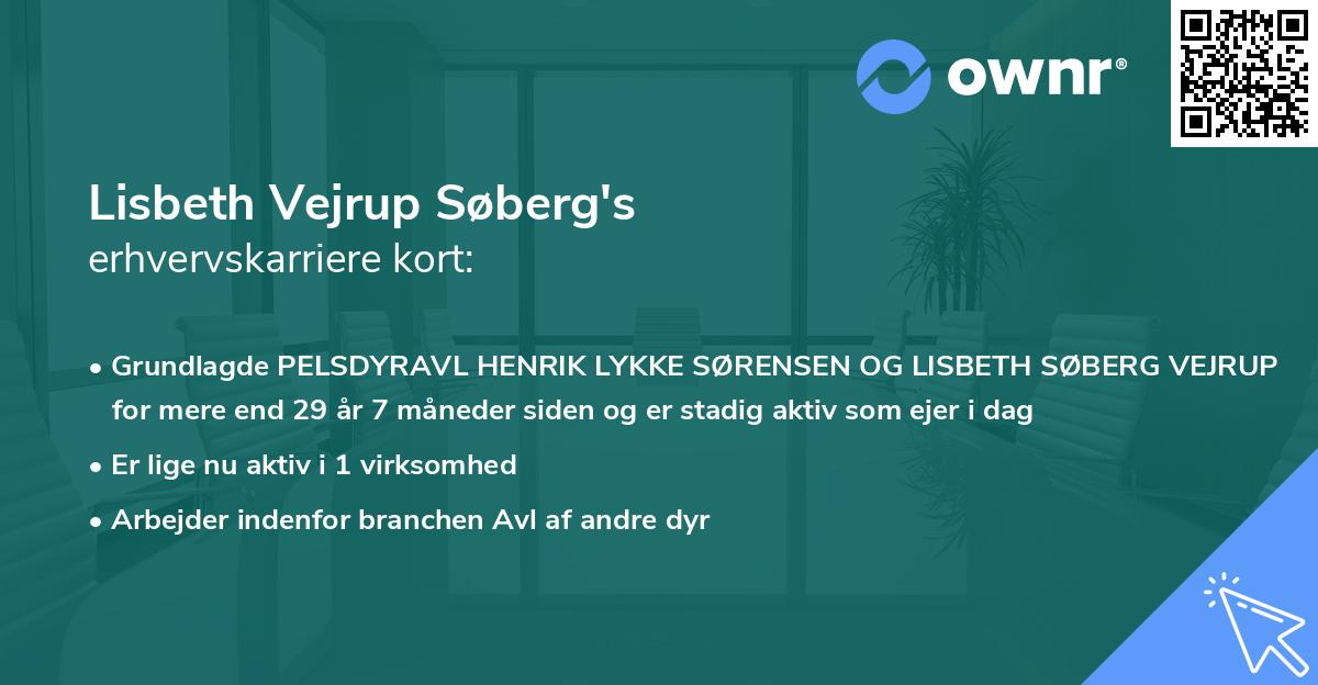Lisbeth Vejrup Søberg's erhvervskarriere kort