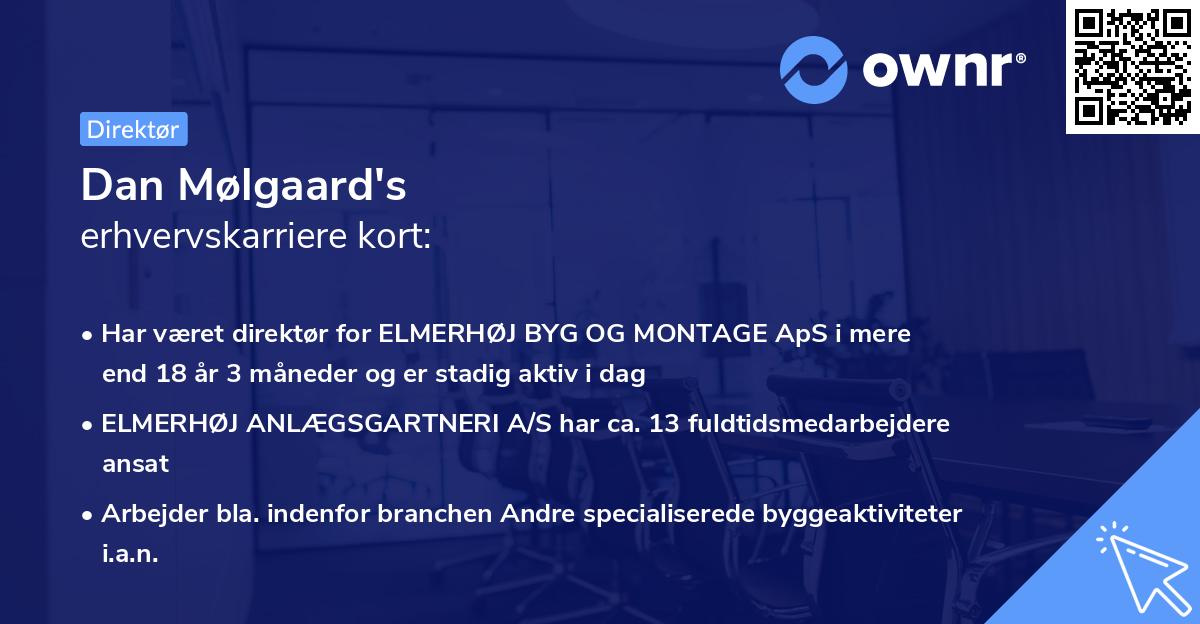Dan Mølgaard's erhvervskarriere kort