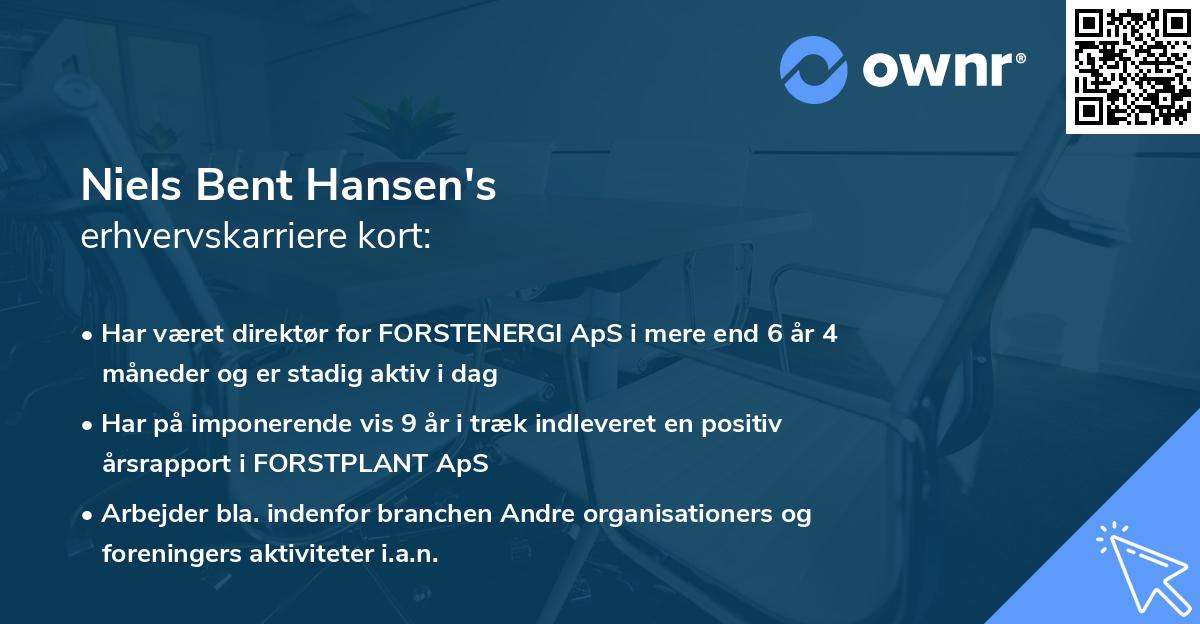 Niels Bent Hansen's erhvervskarriere kort