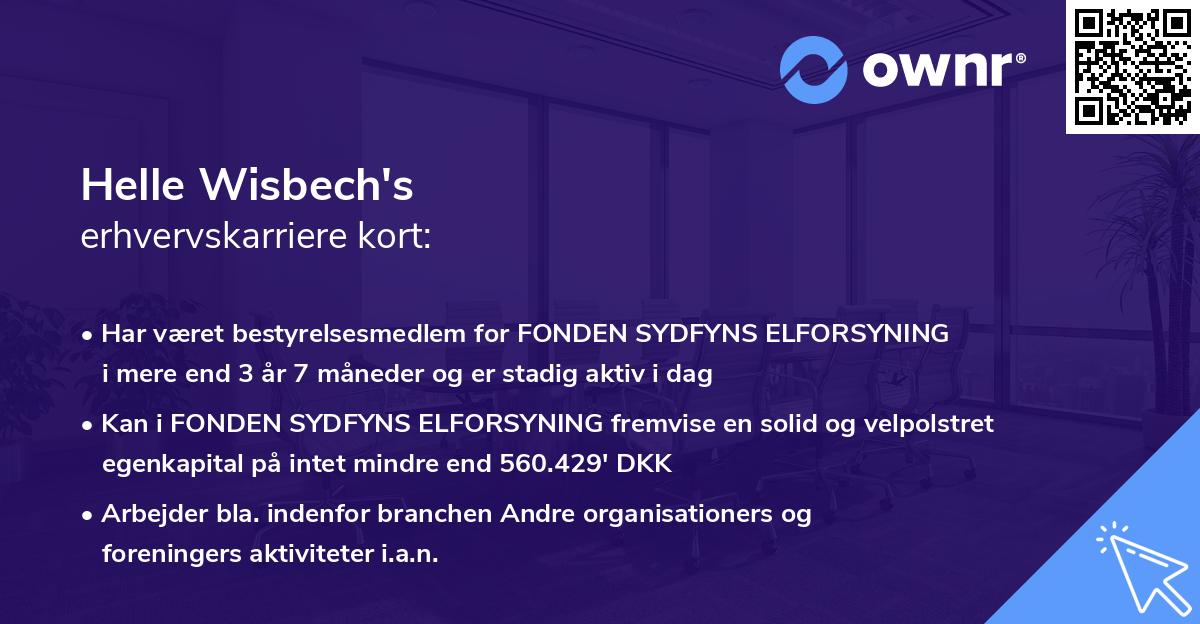 Helle Wisbech's erhvervskarriere kort