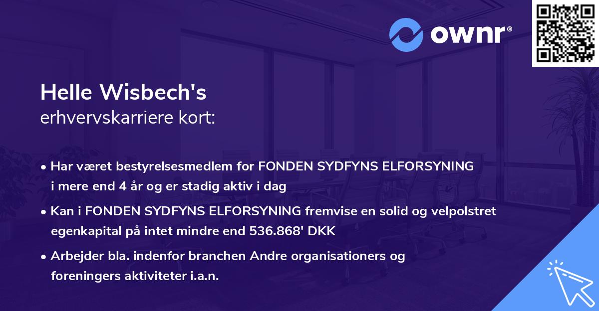 Helle Wisbech's erhvervskarriere kort