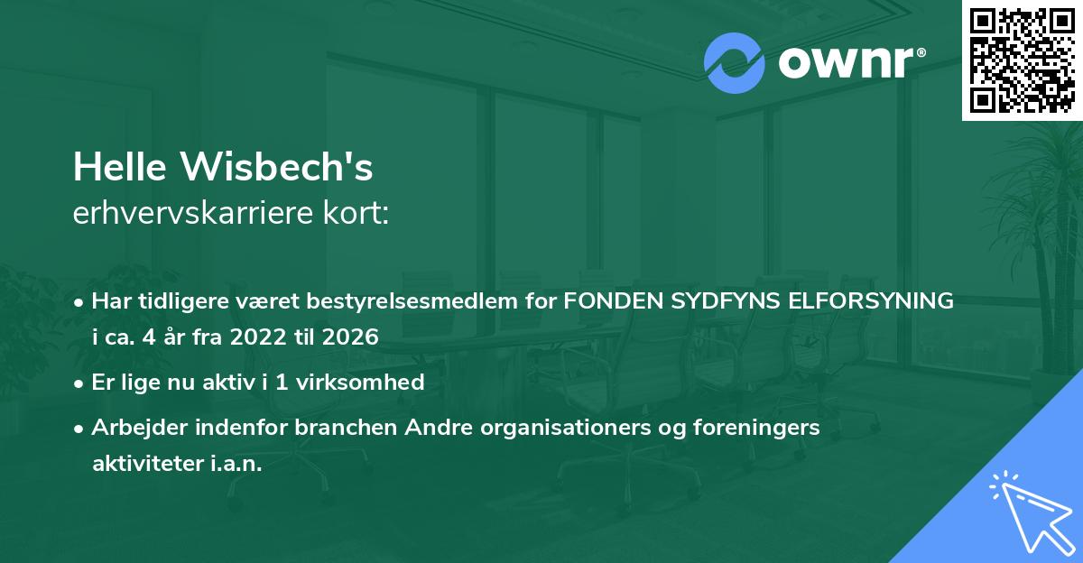 Helle Wisbech's erhvervskarriere kort
