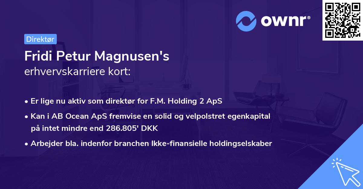 Fridi Petur Magnusen's erhvervskarriere kort
