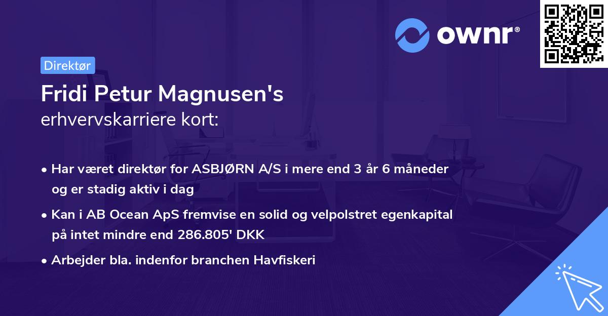 Fridi Petur Magnusen's erhvervskarriere kort