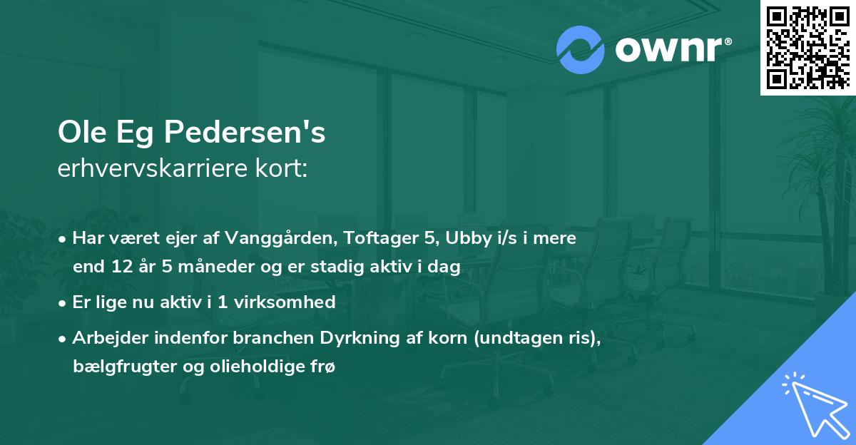Ole Eg Pedersen's erhvervskarriere kort
