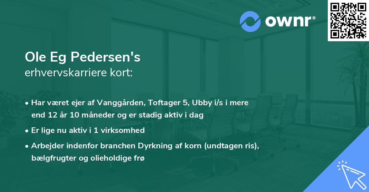 Ole Eg Pedersen's erhvervskarriere kort