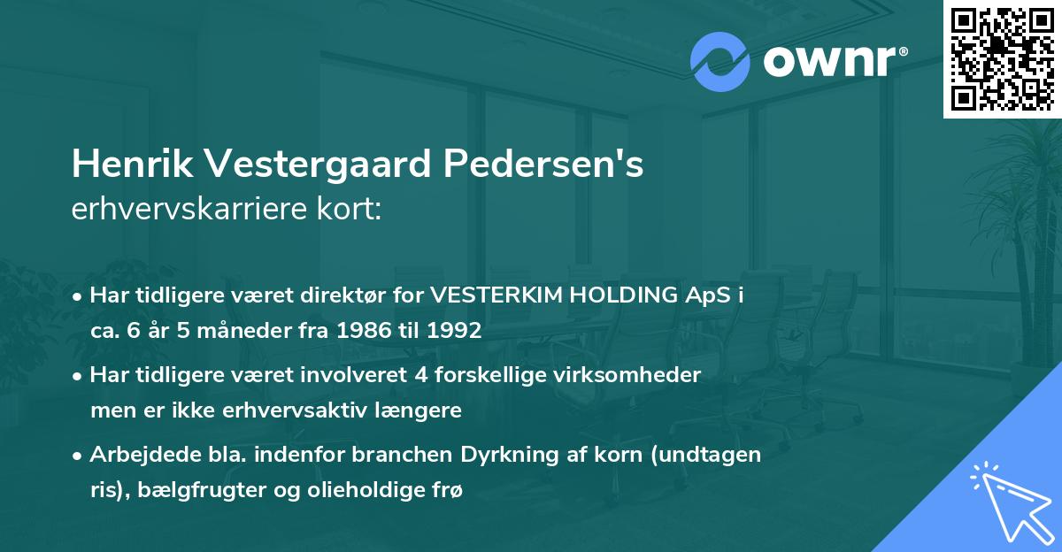 Henrik Vestergaard Pedersen's erhvervskarriere kort