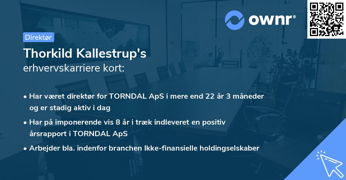 Thorkild Kallestrup's erhvervskarriere kort