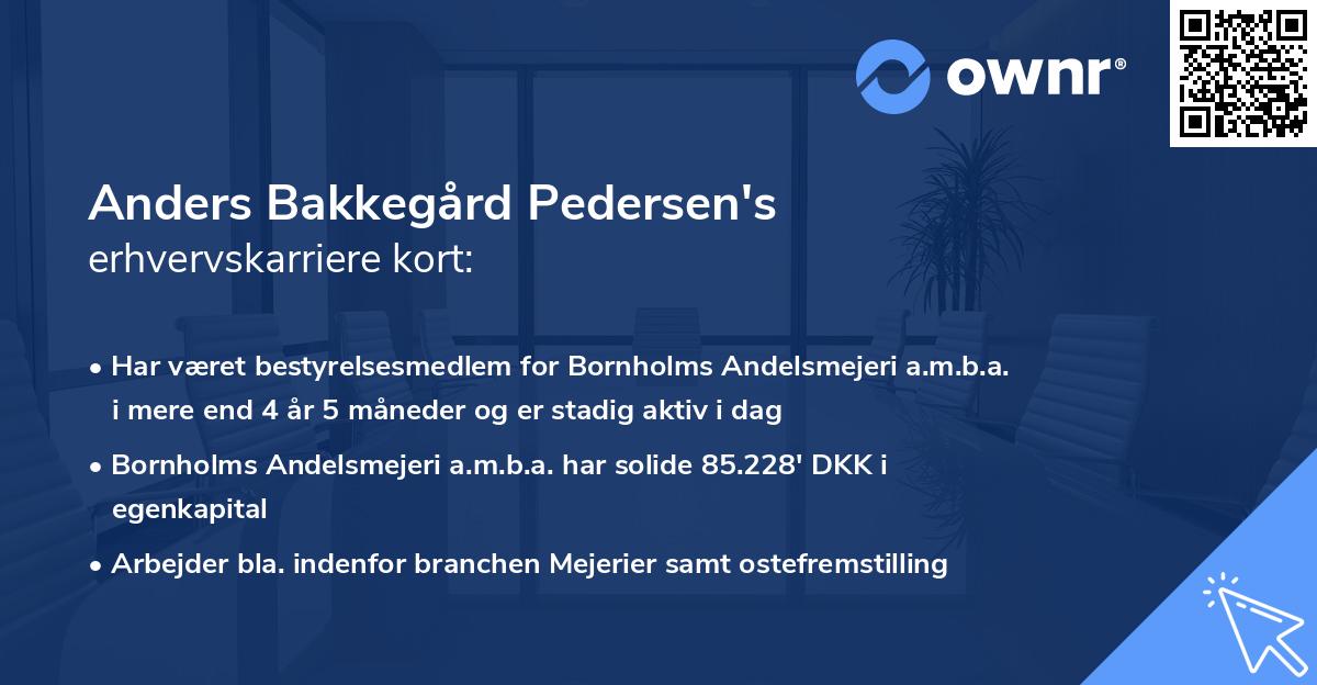 Anders Bakkegård Pedersen's erhvervskarriere kort