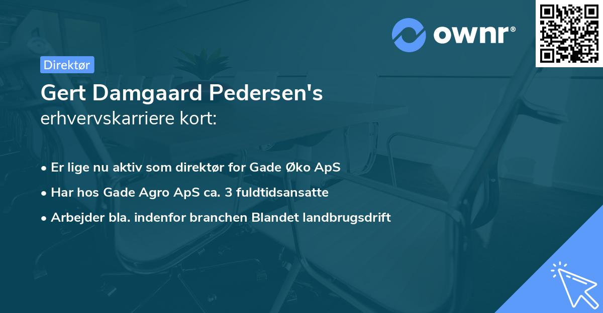 Gert Damgaard Pedersen's erhvervskarriere kort