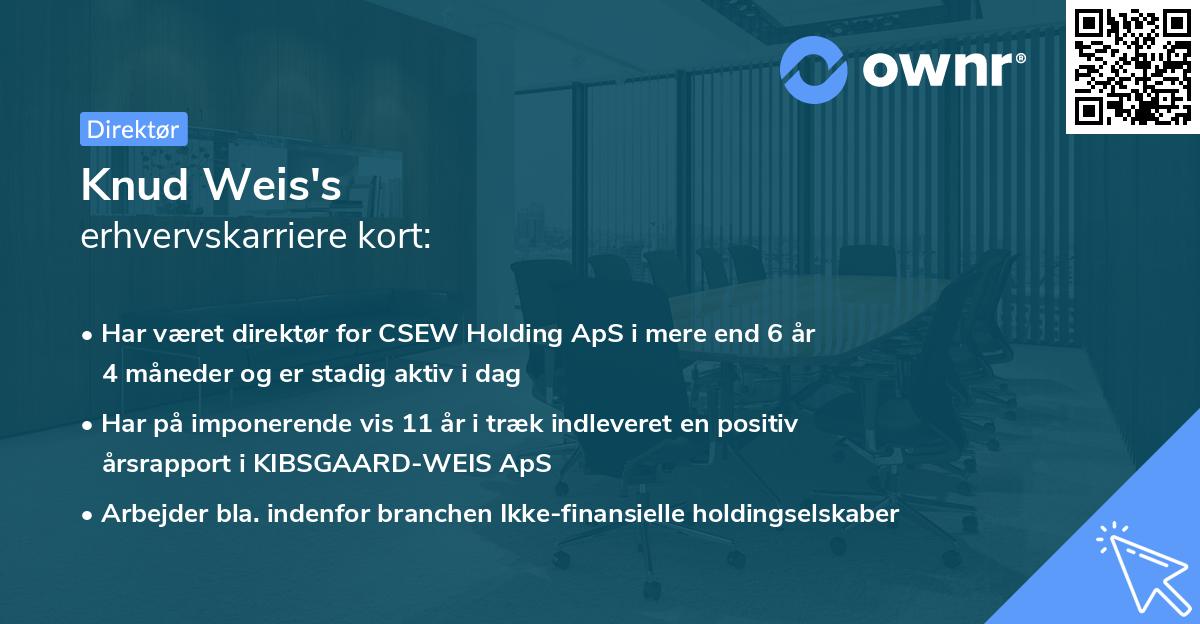 Knud Weis's erhvervskarriere kort