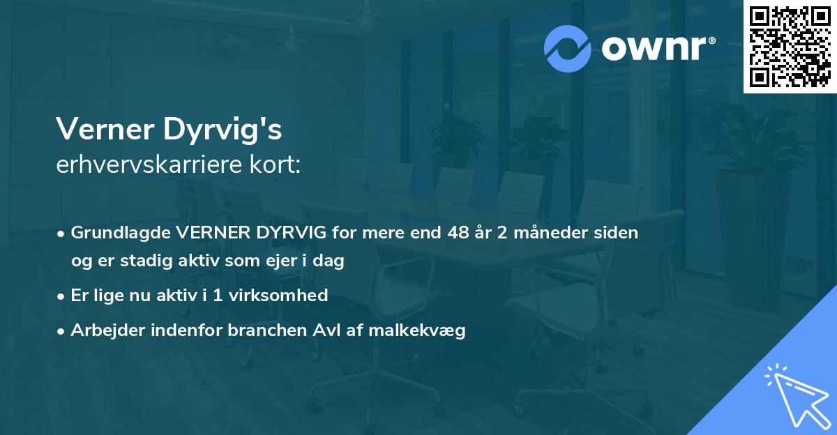 Verner Dyrvig's erhvervskarriere kort