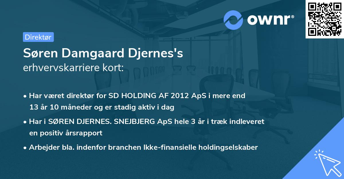 Søren Damgaard Djernes's erhvervskarriere kort