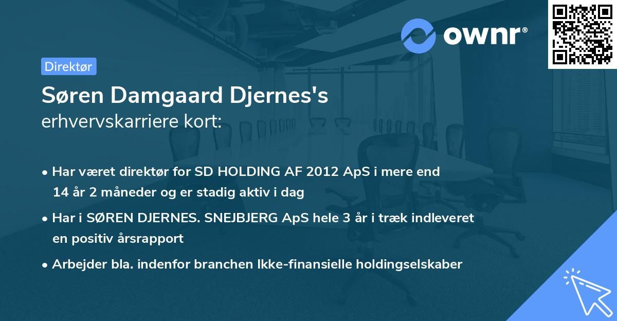 Søren Damgaard Djernes's erhvervskarriere kort