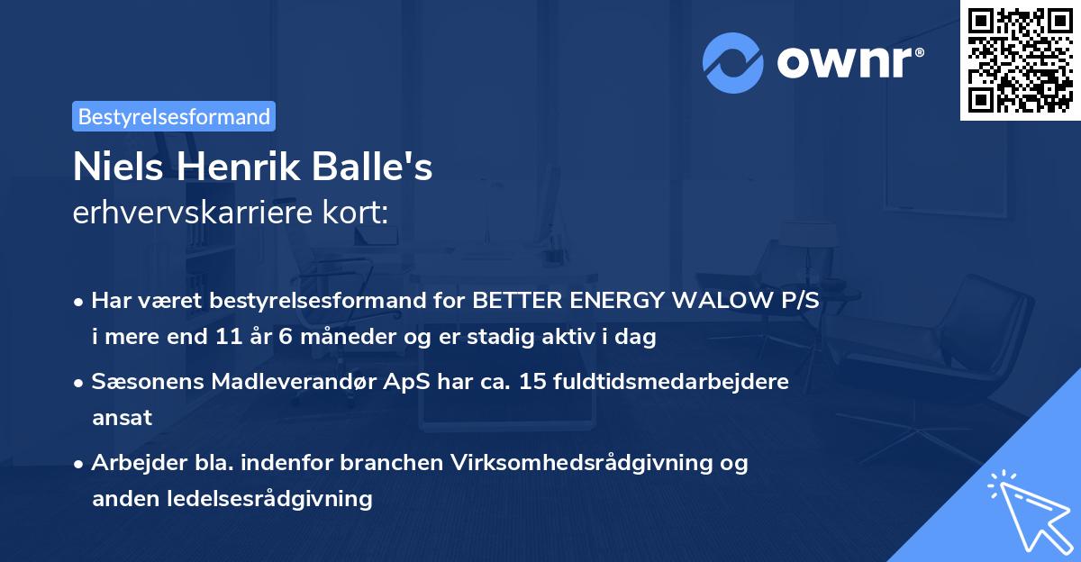 Niels Henrik Balle's erhvervskarriere kort