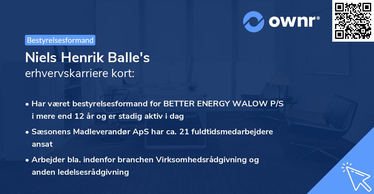 Niels Henrik Balle's erhvervskarriere kort