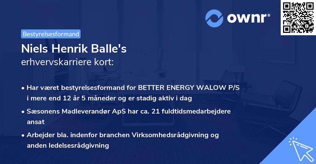 Niels Henrik Balle's erhvervskarriere kort