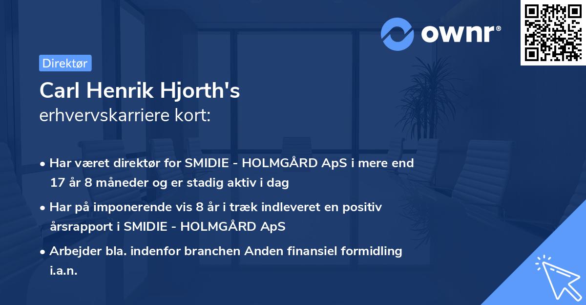 Carl Henrik Hjorth's erhvervskarriere kort