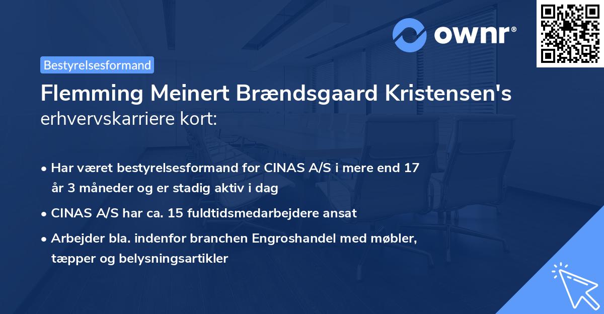 Flemming Meinert Brændsgaard Kristensen's erhvervskarriere kort