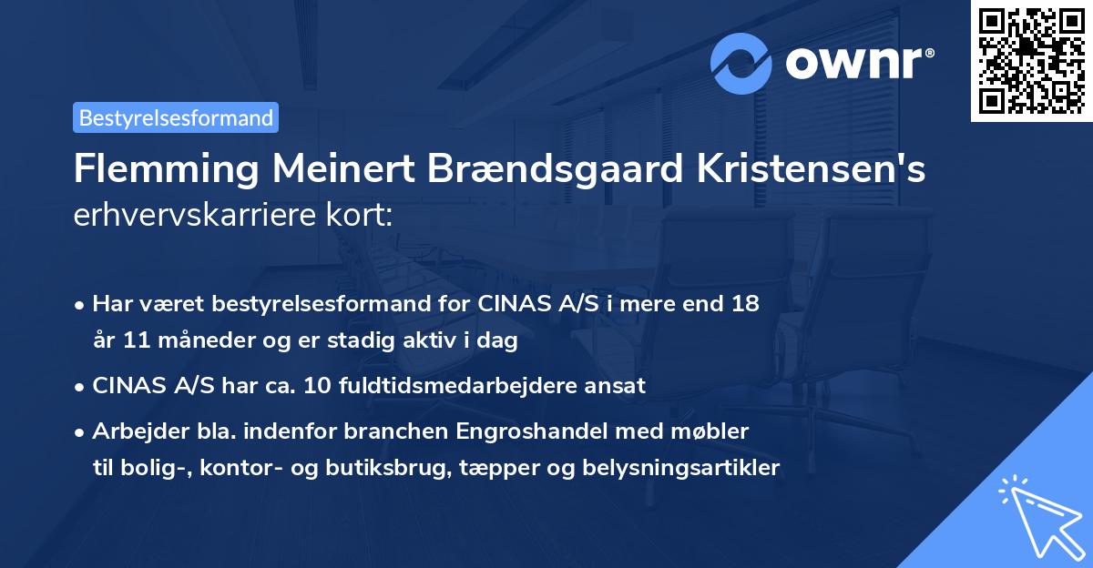 Flemming Meinert Brændsgaard Kristensen's erhvervskarriere kort