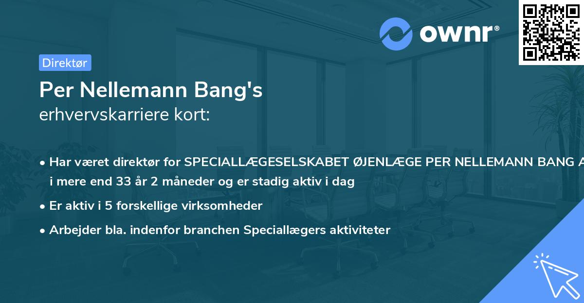Per Nellemann Bang's erhvervskarriere kort