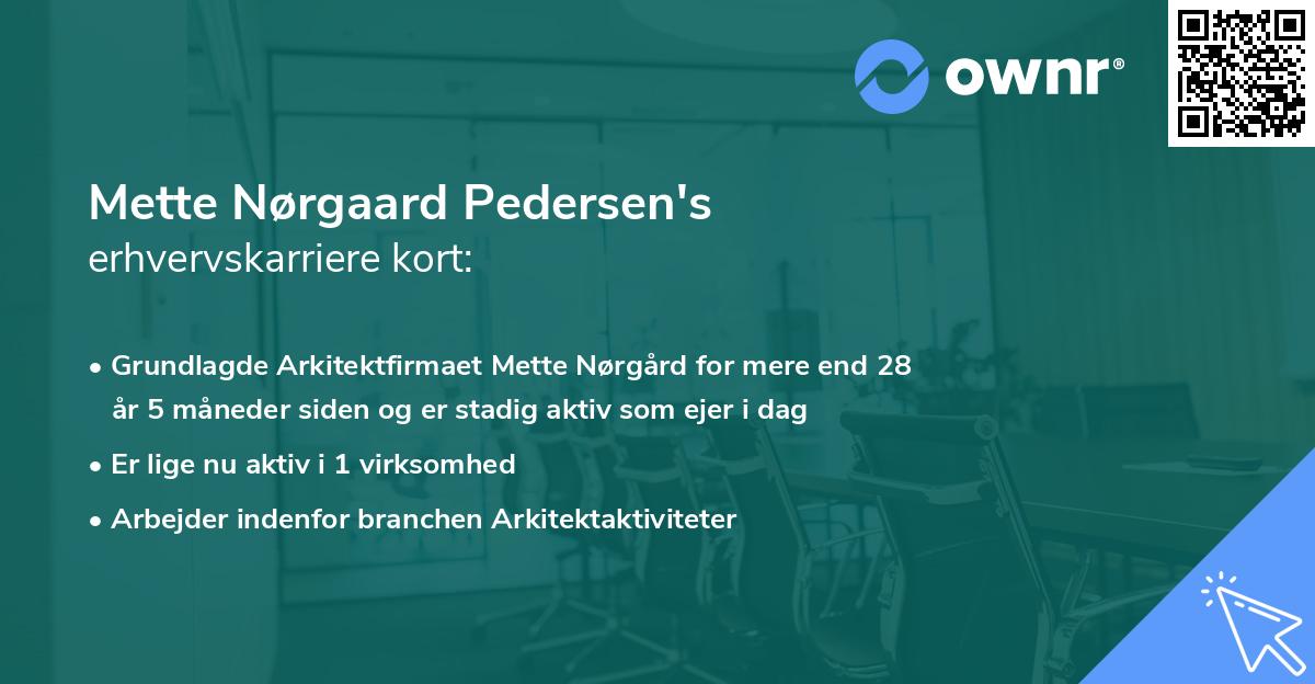 Mette Nørgaard Pedersen's erhvervskarriere kort