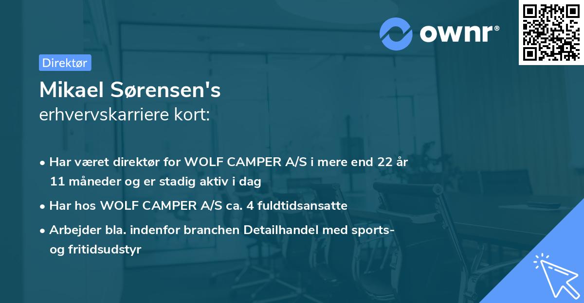 Mikael Sørensen's erhvervskarriere kort