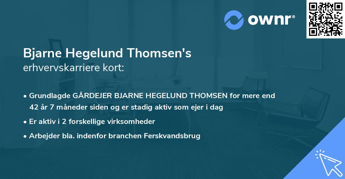 Bjarne Hegelund Thomsen's erhvervskarriere kort