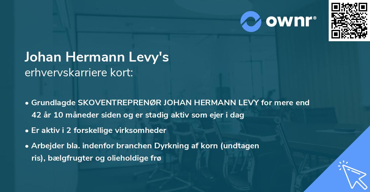 Johan Hermann Levy's erhvervskarriere kort