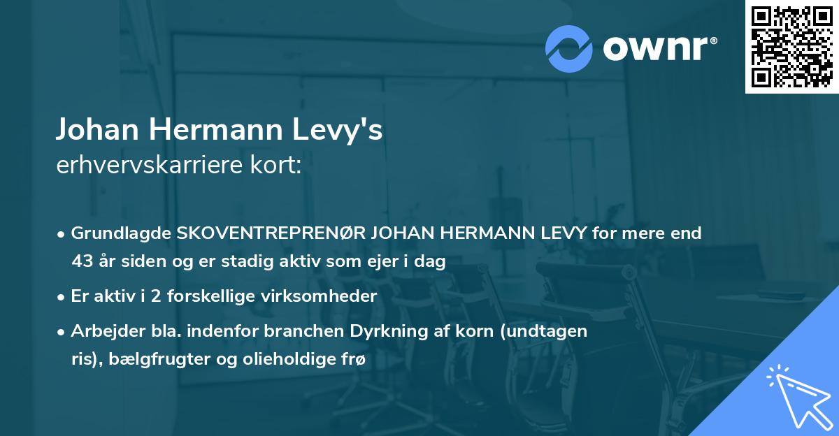 Johan Hermann Levy's erhvervskarriere kort