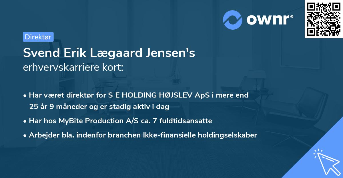 Svend Erik Lægaard Jensen's erhvervskarriere kort
