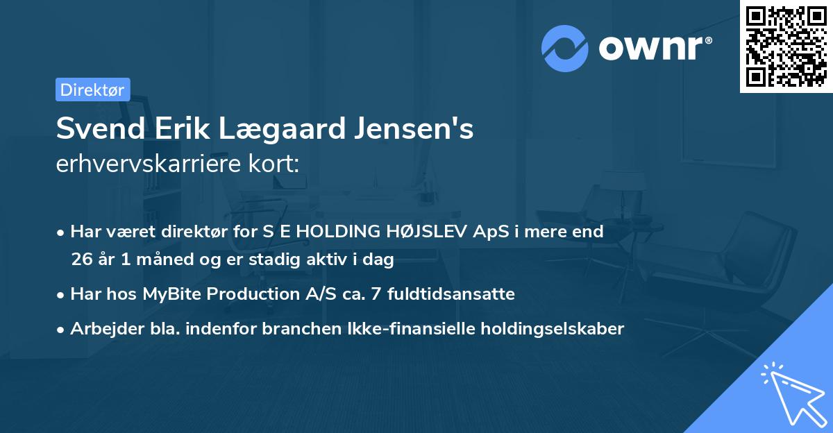 Svend Erik Lægaard Jensen's erhvervskarriere kort