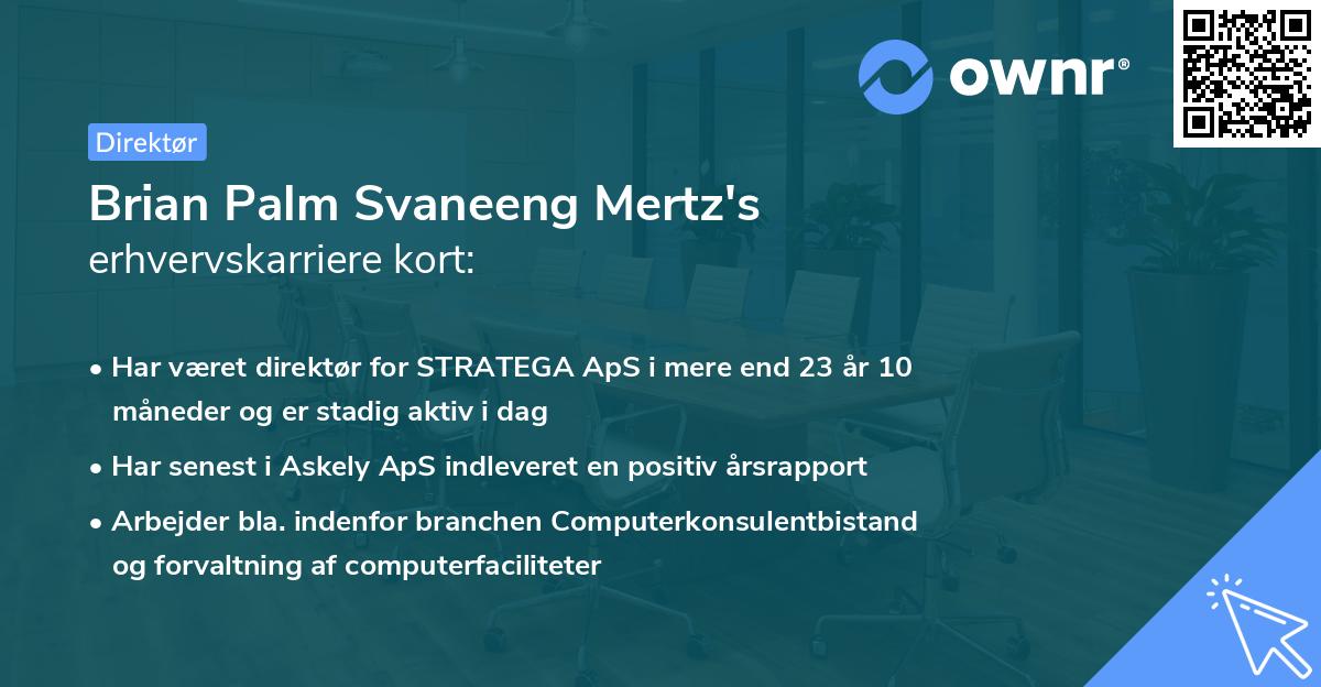 Brian Palm Svaneeng Mertz's erhvervskarriere kort