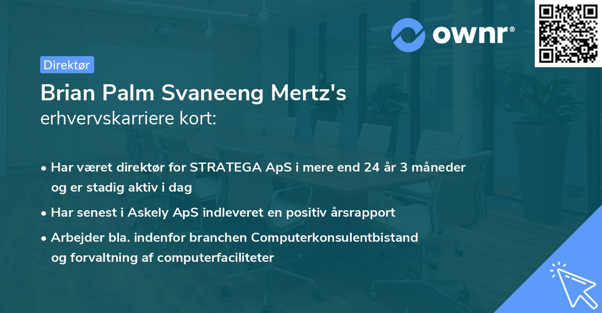 Brian Palm Svaneeng Mertz's erhvervskarriere kort
